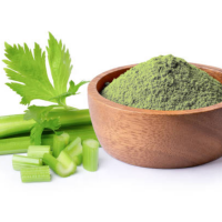 PREMIUM CELERY POWDER CLEAN LABEL SUPERFOOD