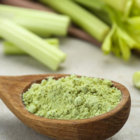 WHOLESALE CELERY POWDER FOR JUICE AND SEASONING