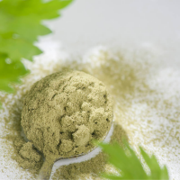 TOP QUALITY CELERY POWDER EXPORT STANDARD