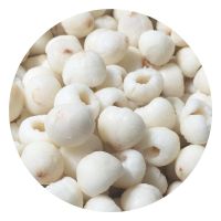 PREMIUM FROZEN LYCHEE WHOLE FRUIT EXPORT QUALITY