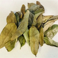PURE DRIED SOURSOP LEAVES FOR TRADITIONAL