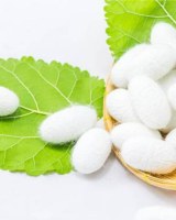 100% NATURAL SILK COCOON FACE CLEANSING COCOONS BULK PRICE From Vietnam
