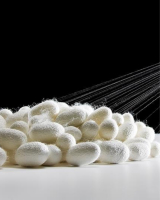 PURE SILK COCOON SHELLS EXPORT QUALITY VIETNAM FACTORY