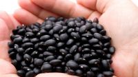 PREMIUM BLACK BEAN POWDER FOR PROTEIN