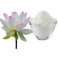HIGH QUALITY LOTUS POWDER FOR BEAUTY WELLNESS DETOX AND DAILY NUTRITION