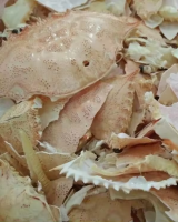 HIGH QUALITY CRAB SHELL FROM VIETNAM