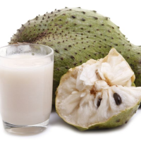 PURE SOURSOP FLESH FOR WELLNESS DRINKS