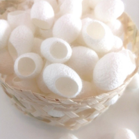 PREMIUM SILK COCOONS FOR SKIN EXFOLIATION