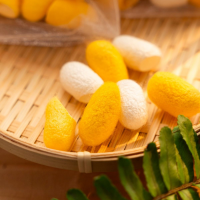 SILK COCOONS FOR SPA TREATMENTS ANTI