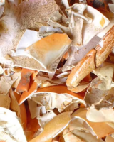 NATURAL CRAB SHELL FOR ORGANIC FERTILIZER