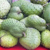 HIGH QUALITY SOURSOP PULP FOR DESSERTS