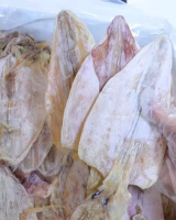 DRIED SQUID STRING HIGH PROTEIN READY