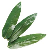 NATURAL BAMBOO LEAVES FOR WRAPPING FOOD TEA AND TRADITIONAL CUISINE From Vietnam