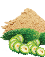 PREMIUM BITTER MELON POWDER FROM VIETNAM