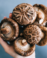 DRIED SHIITAKE MUSHROOM FOR FOOD