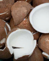 PURE AND CREAMY COCONUT MILK / VIETNAM