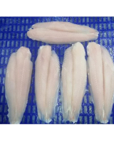 HIGH QUALITY BASA FISH FILLET / FROZEN