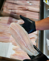 FROZEN BASA FISH FILLET / EXPORT QUALITY