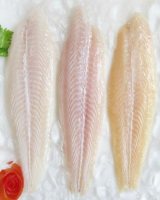 PREMIUM BASA FILLET / VIETNAM ORIGIN / FROZEN