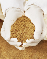 PREMIUM VIETNAMESE FISH MEAL / RELIABLE EXPORT SUPPLY FOR GLOBAL MARKETS