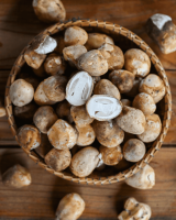 FROZEN STRAW MUSHROOM &acirc;€“ EXPORT QUALITY