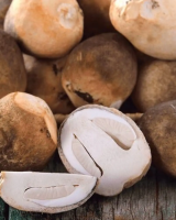 FROZEN STRAW MUSHROOM / WHOLE / CUT, PREMIUM