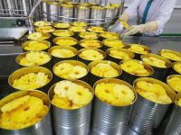 PREMIUM CANNED PINEAPPLE IN JUICE / SYRUP