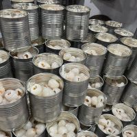 PREMIUM CANNED LYCHEE IN HEAVY SYRUP