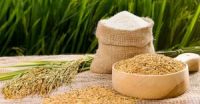 WHITE COCONUT MEAL HIGH PROTEIN ANIMAL