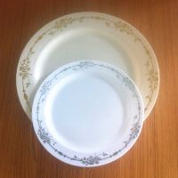 plastic dinner plates