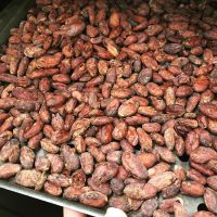 High Grade Sun Dried Cocoa Beans