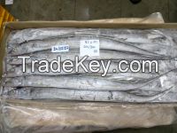 RIBBONFISH, YELLOW CROAKER, SILVER CROAKER, INDIAN MACKEREL, SQUID, CUTTLE FISH ETC.....