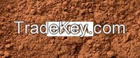 cocoa powder