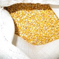 Yellow Corn (NON -GMO)