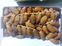 Deglet Nour Tunisia Dates 