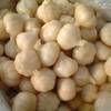 pickled garlic