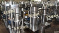 Automatic hydraulic oil press sesame olive oil extract machine From China