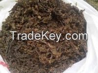 Dried Sagassum Seaweeds