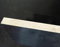 Black Film Faced Plywood