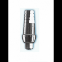 Dental Implant Abutments