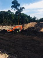 Indonesian Steam Coal Various Calories (low to high grade) & other mine products