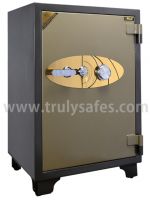 Large heavy duty 2 hour fire resistant safes TLG series