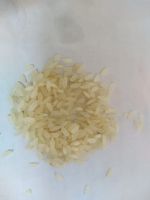 Rice (Sorna 5 Chal