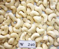 VIET NAM CASHEW NUTS WW 240