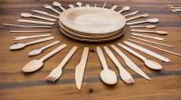 Disposable wooden tableware