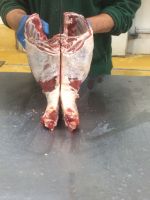 Halal lamb whole leg Grade A