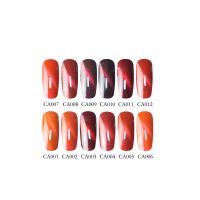 2018 new arrival free sample Cat Eye UV gel nail polish wholesale ODM/OEM