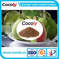 Cocoly organic fertilizer full solubility granular shape