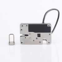 Outdoor Electronic Rotary Latch IP65 Water
