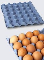Paper Egg trays From Pakistan